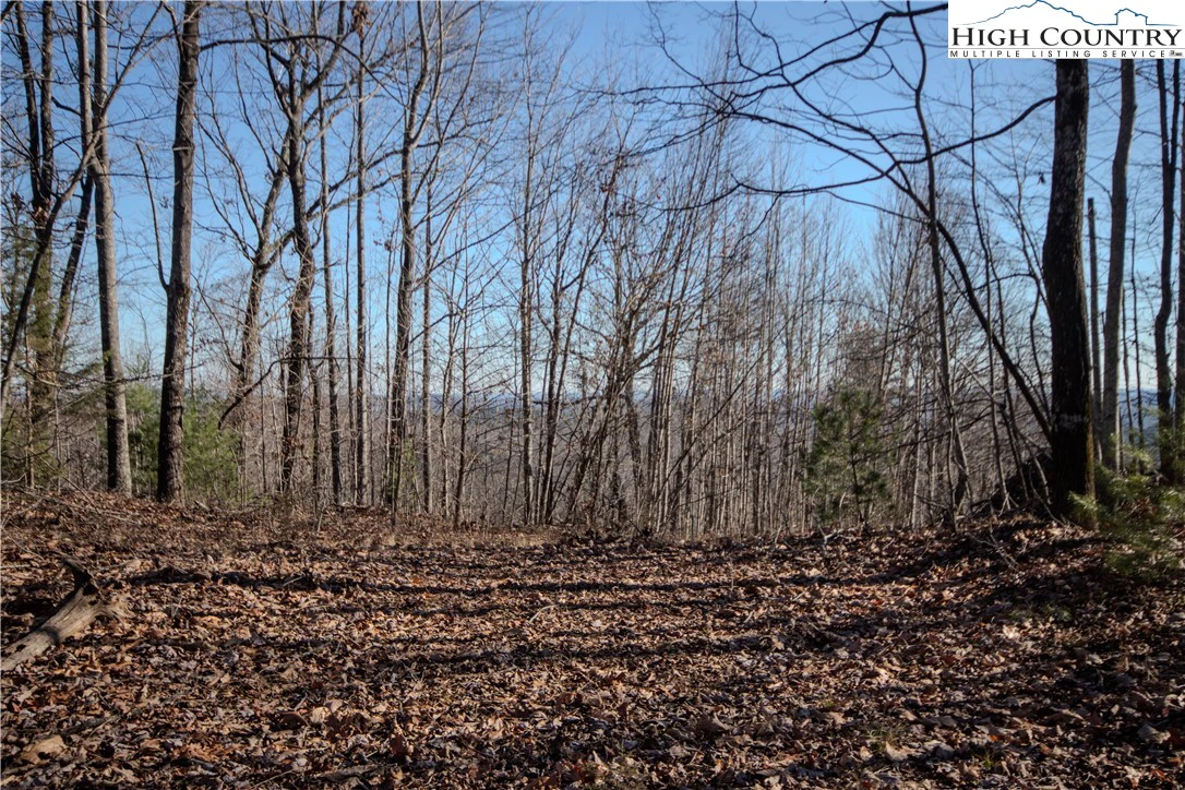 Image number 4 for the current listing