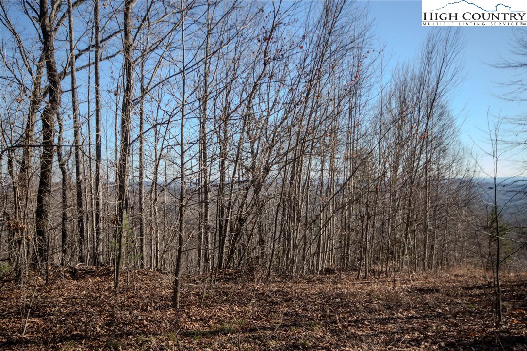 Image number 5 for the current listing