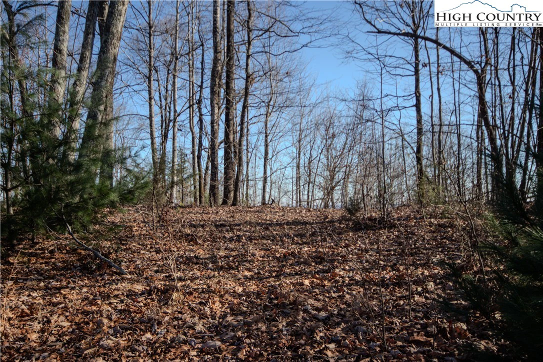 Image number 7 for the current listing