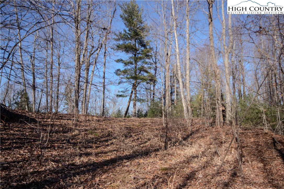 Image number 9 for the current listing