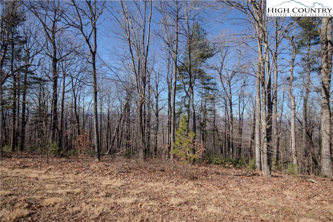 Image number 3 for the current listing