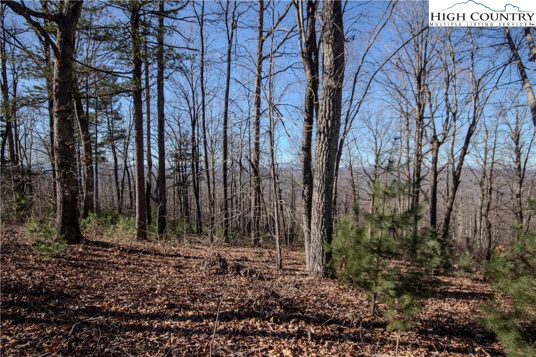 Image number 5 for the current listing