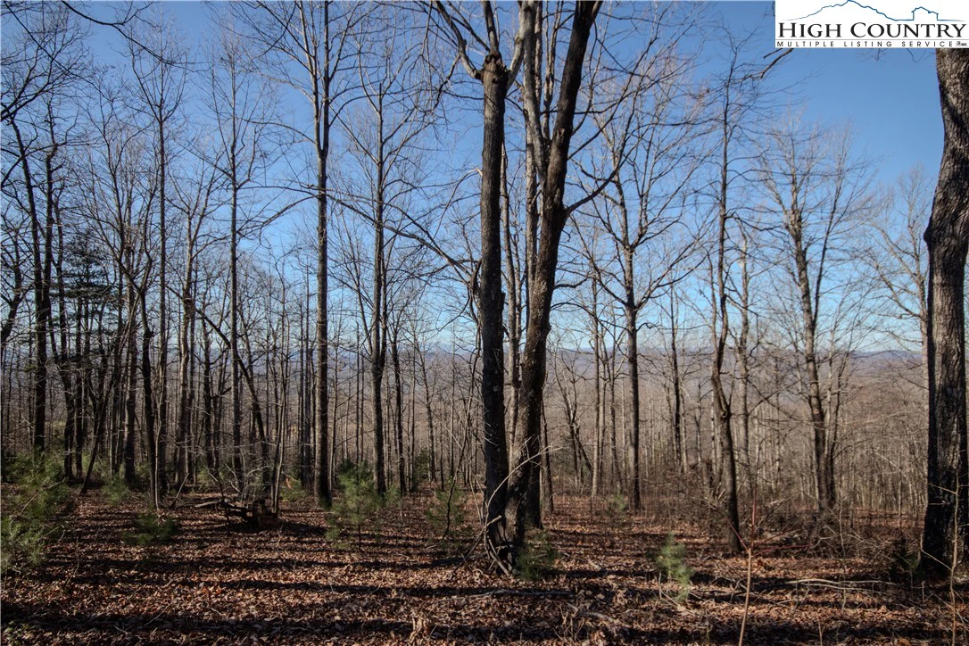 Image number 6 for the current listing
