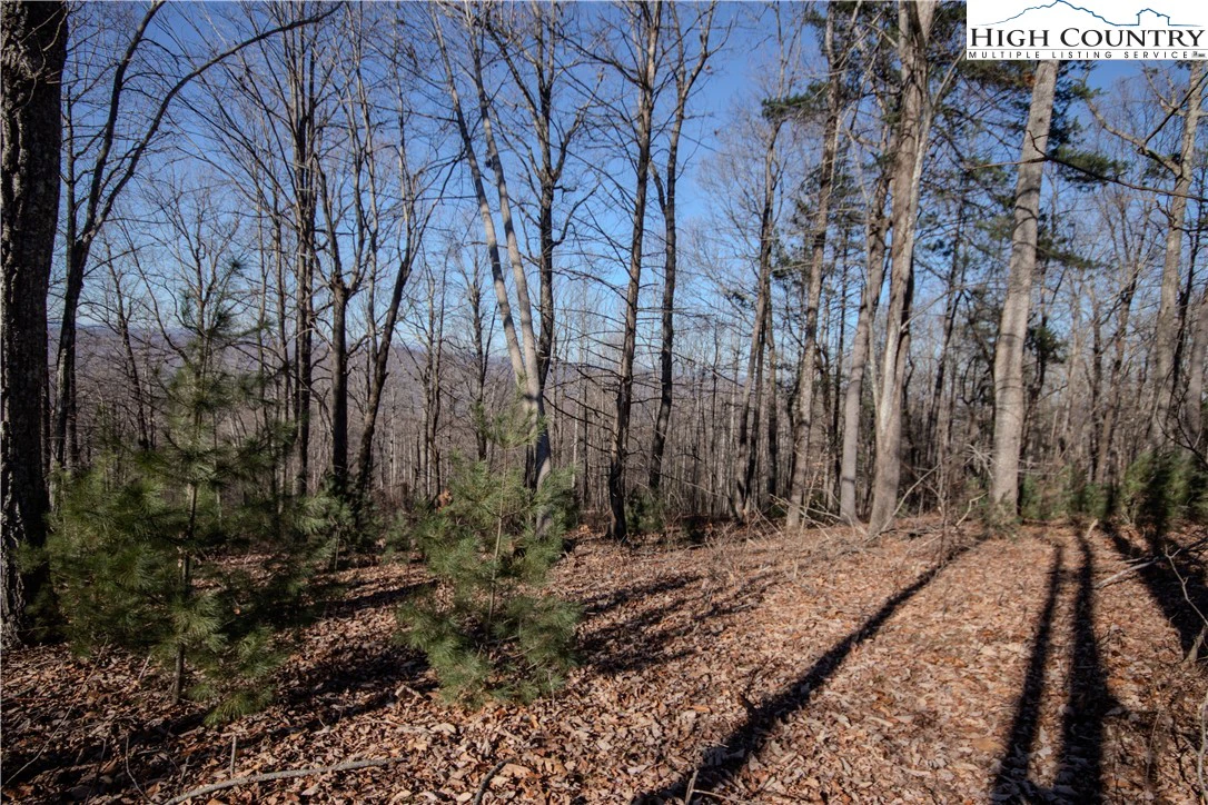 Image number 7 for the current listing
