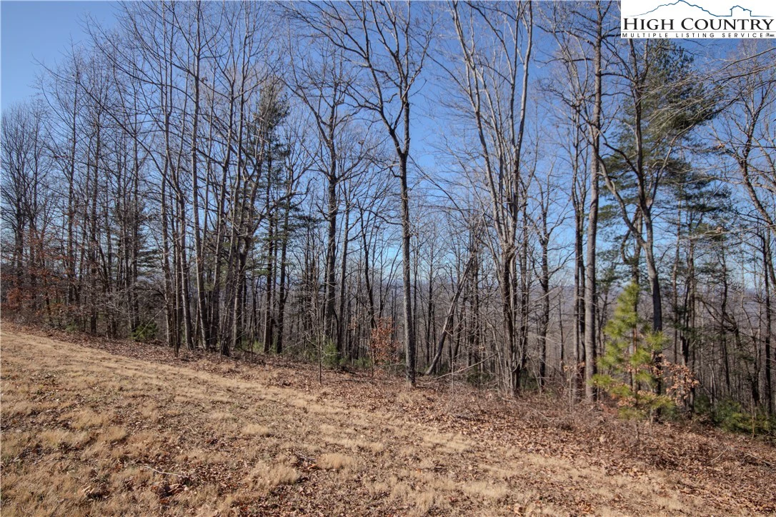 Image number 8 for the current listing