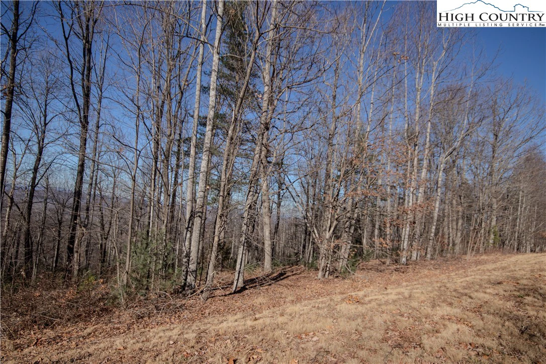 Image number 9 for the current listing