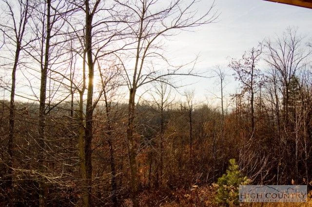 Image number 11 for the current listing