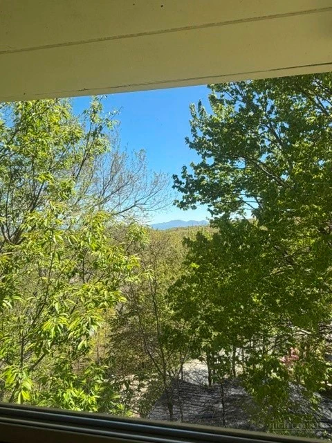 Image number 4 for the current listing
