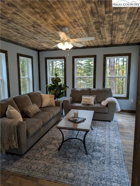Image number 13 for the current listing