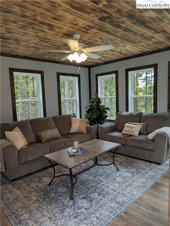 Image number 14 for the current listing
