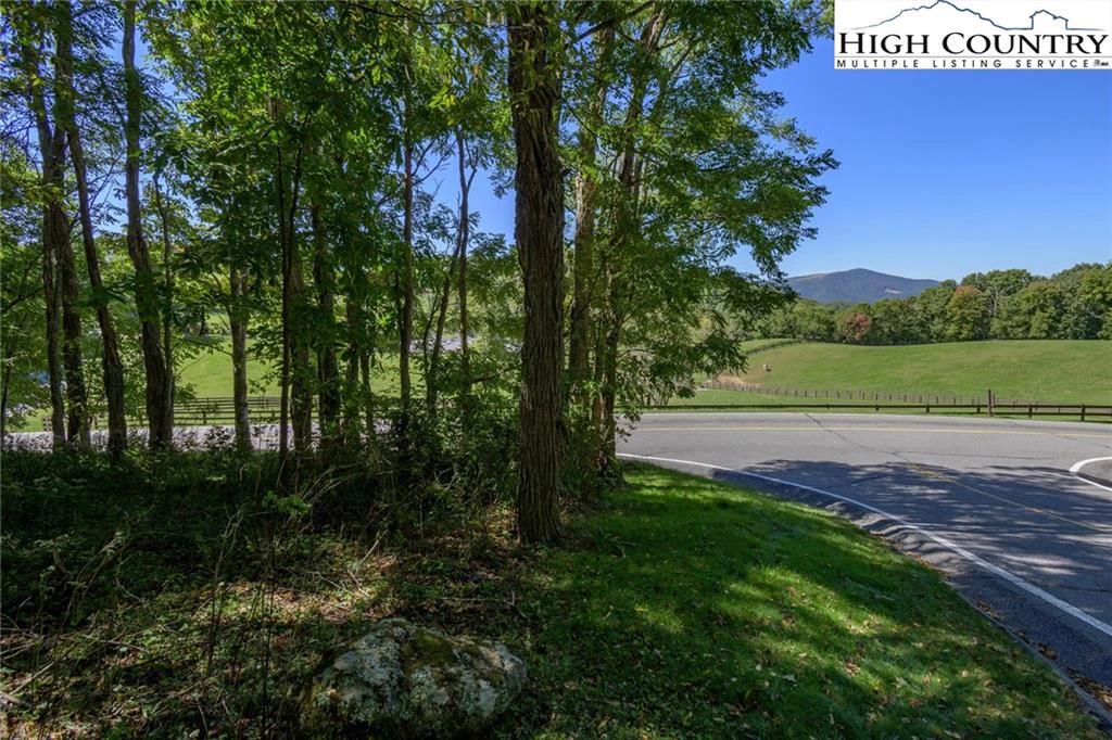 Image number 1 for the current listing