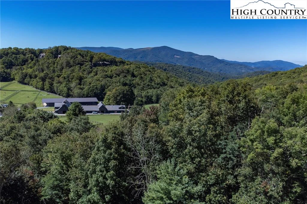 Image number 12 for the current listing