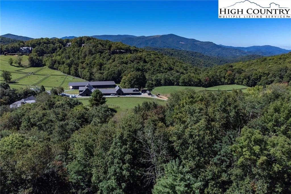 Image number 11 for the current listing