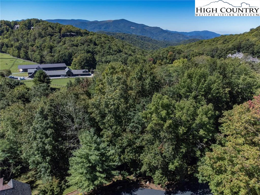 Image number 10 for the current listing