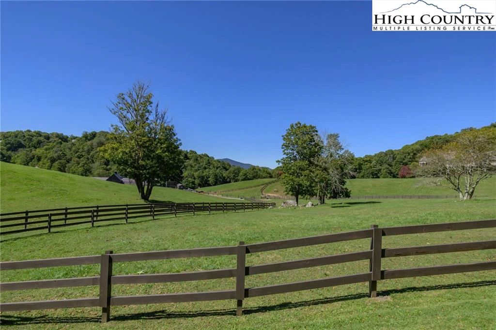 Image number 4 for the current listing