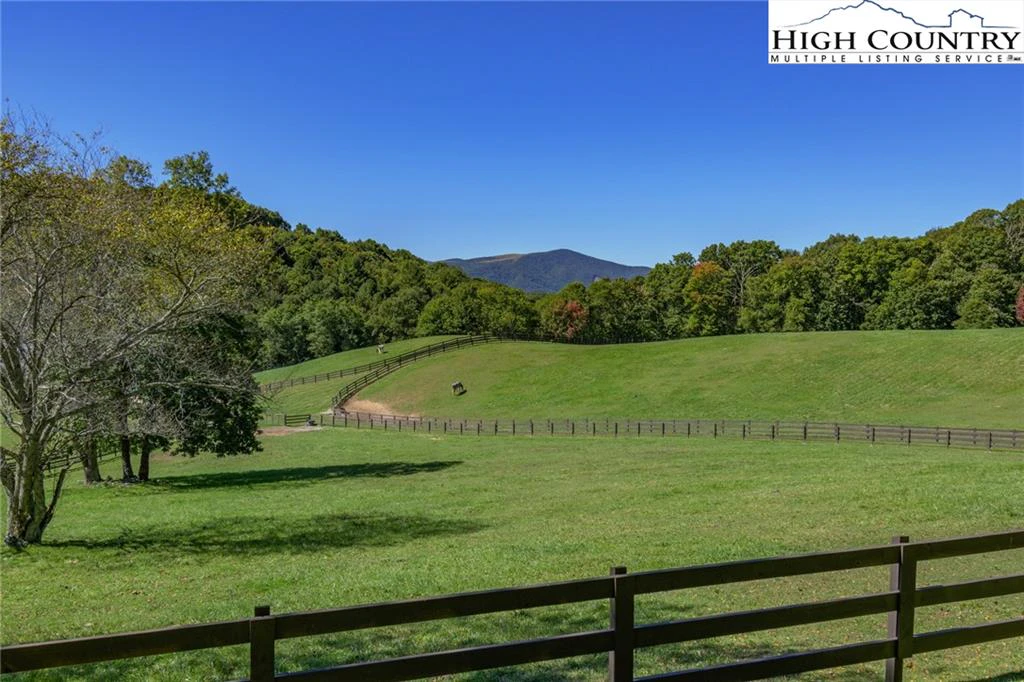 Image number 3 for the current listing