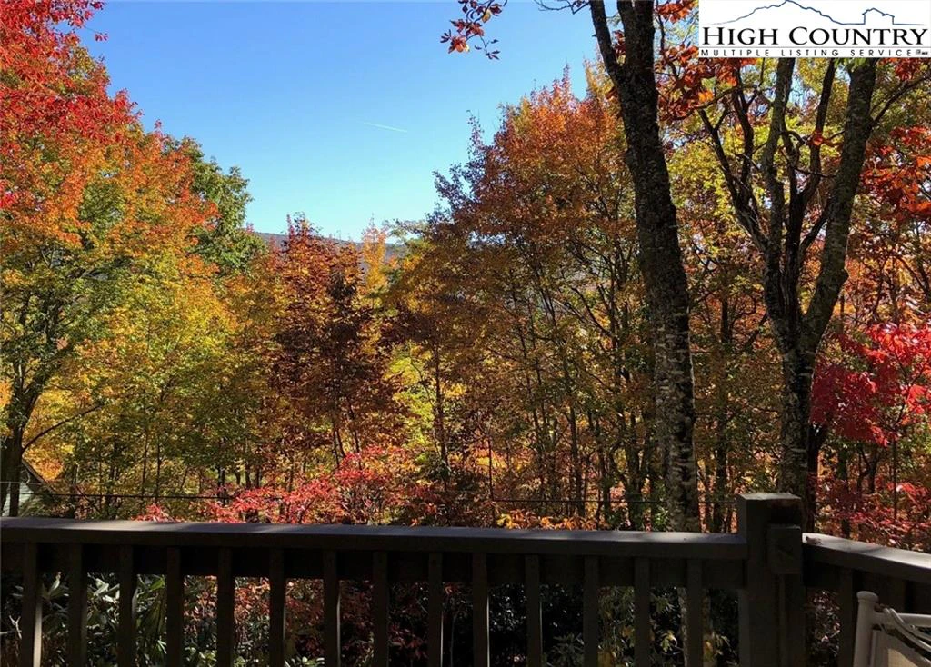 Image number 15 for the current listing
