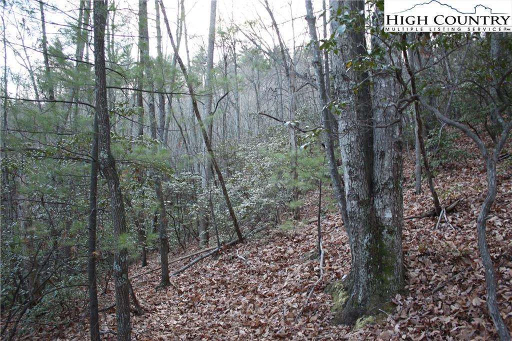 Image number 13 for the current listing