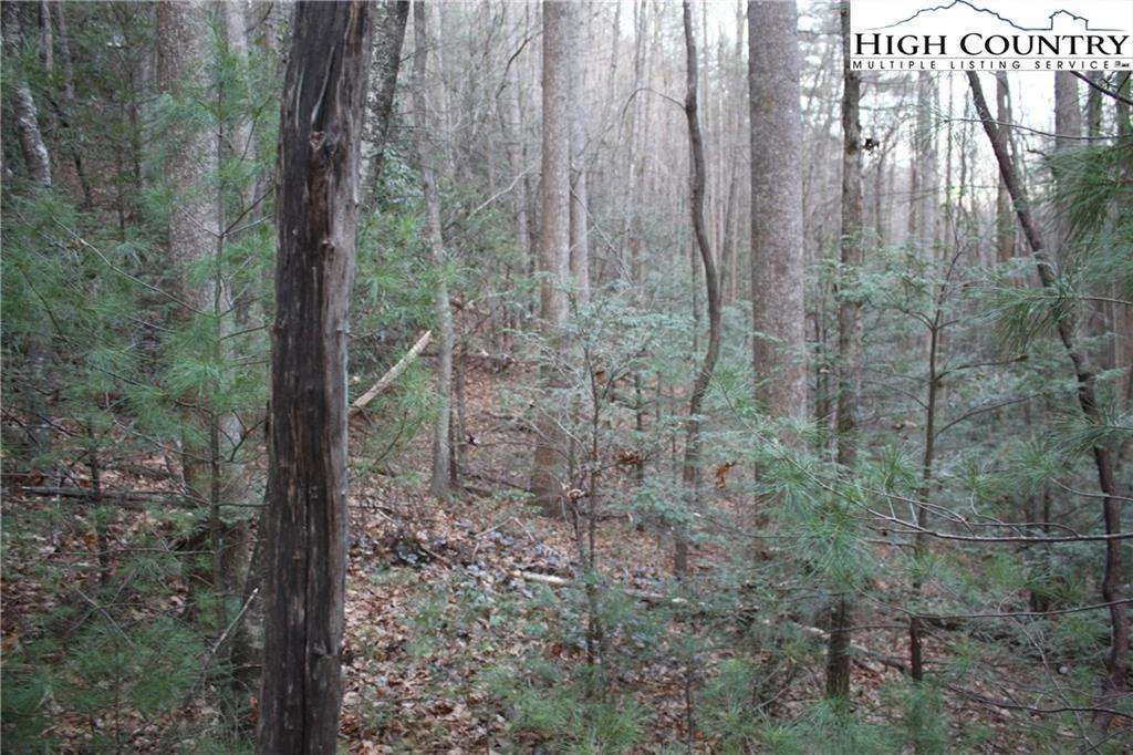 Image number 12 for the current listing