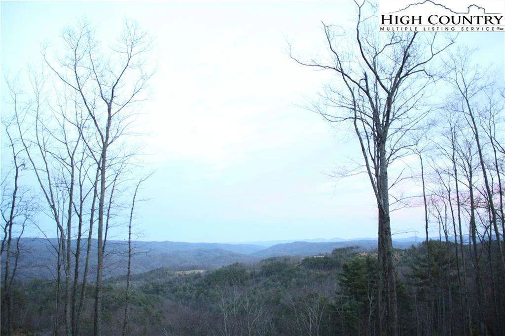 Image number 8 for the current listing