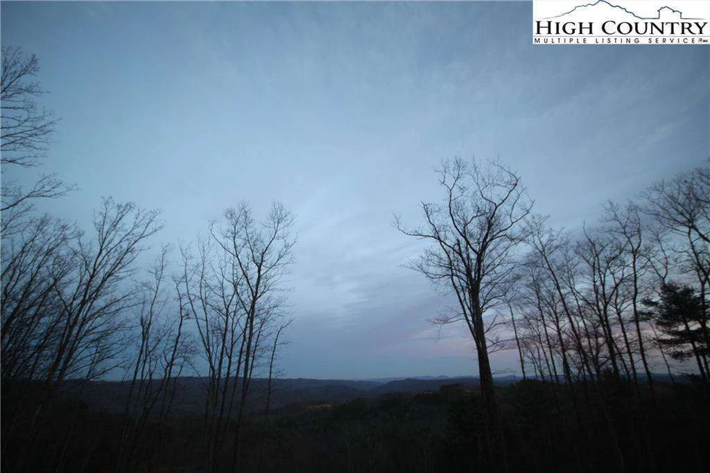 Image number 7 for the current listing