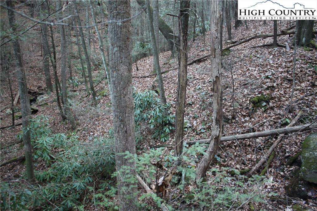 Image number 19 for the current listing