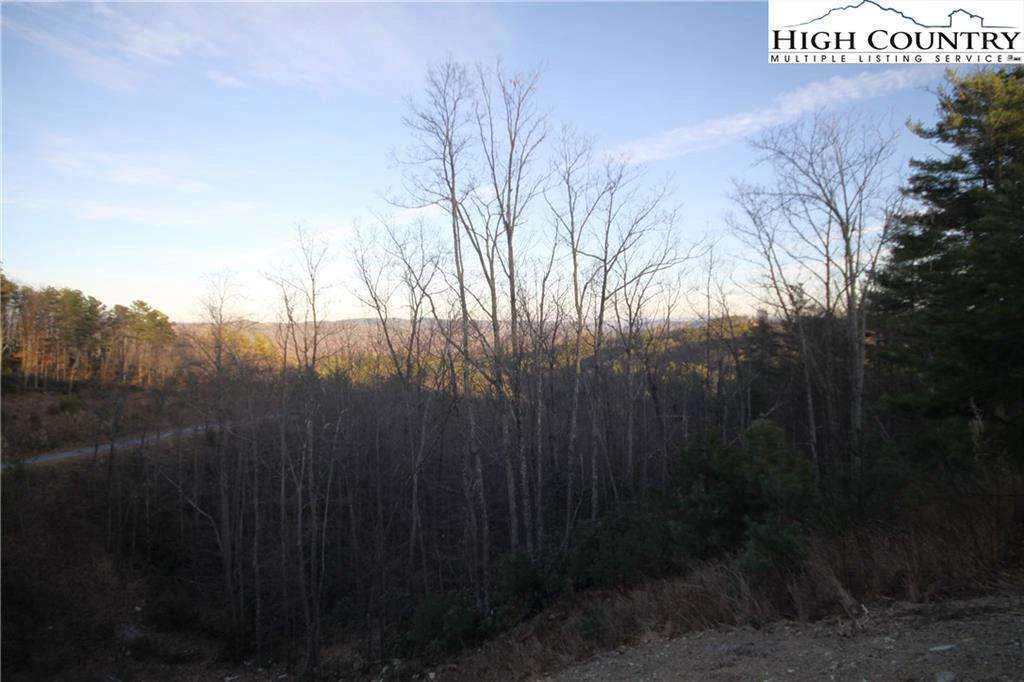 Image number 17 for the current listing