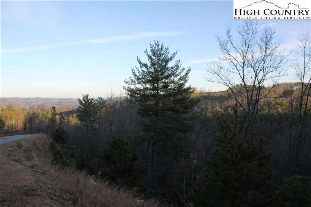 Image number 15 for the current listing