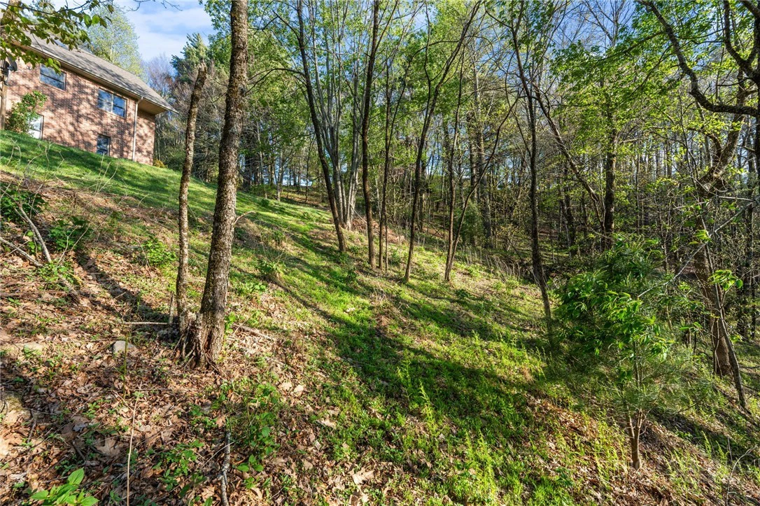Image number 18 for the current listing