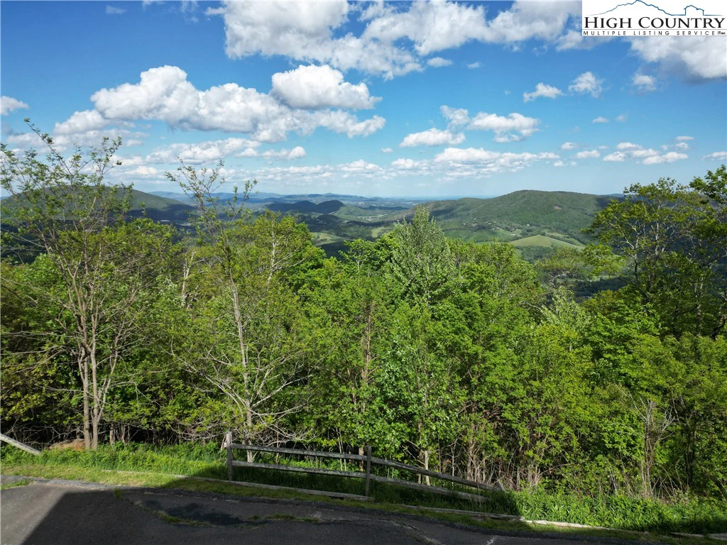 Image number 4 for the current listing