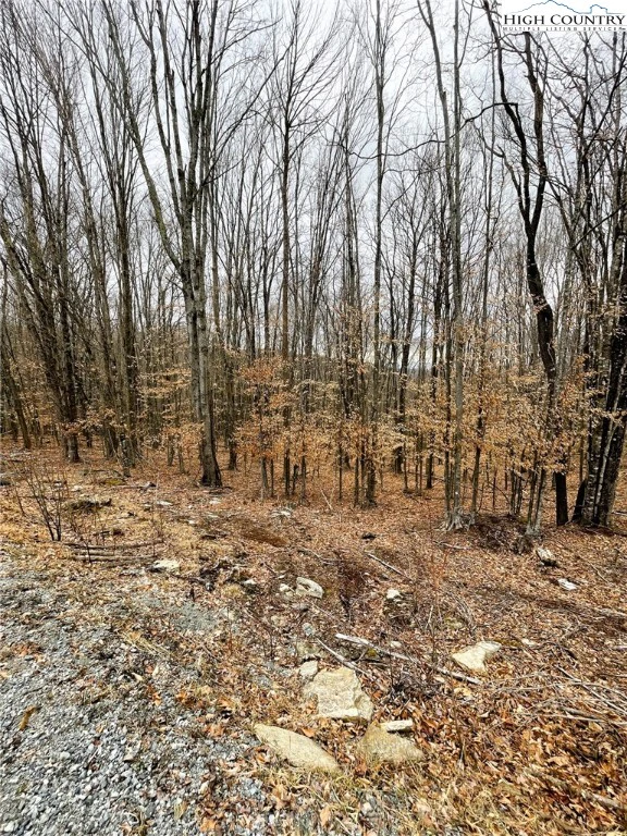 Image number 3 for the current listing