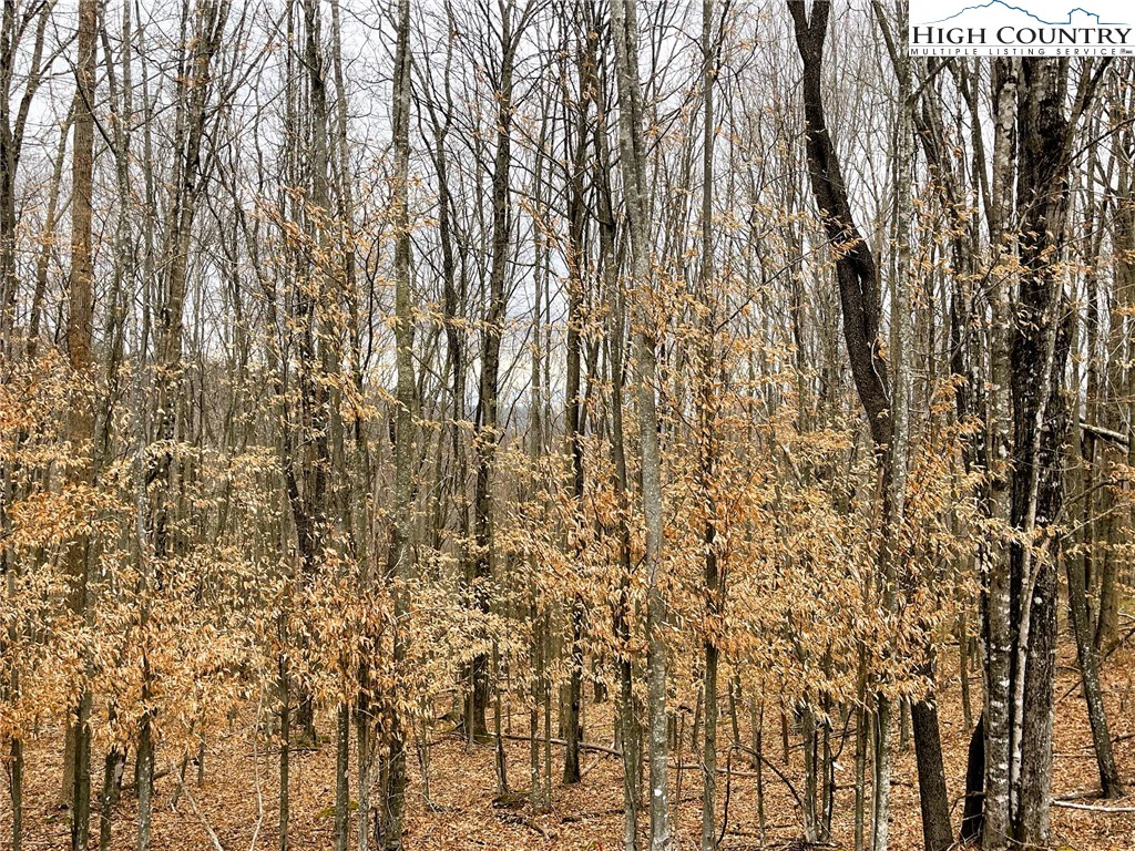 Image number 1 for the current listing