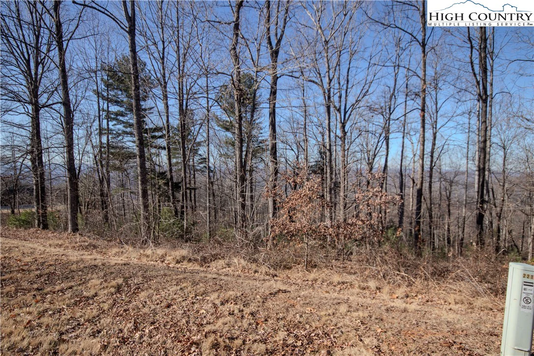 Image number 16 for the current listing