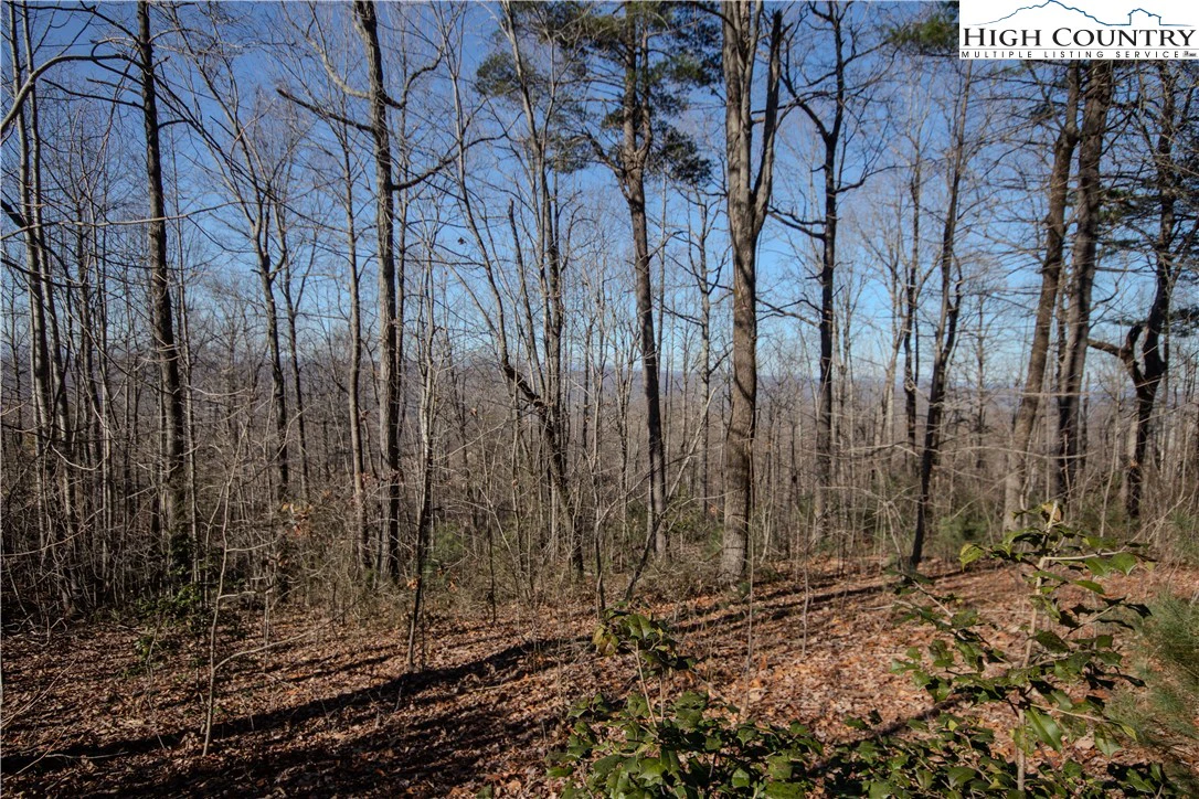 Image number 15 for the current listing