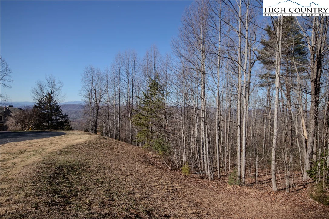 Image number 14 for the current listing
