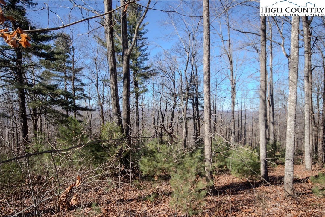 Image number 12 for the current listing