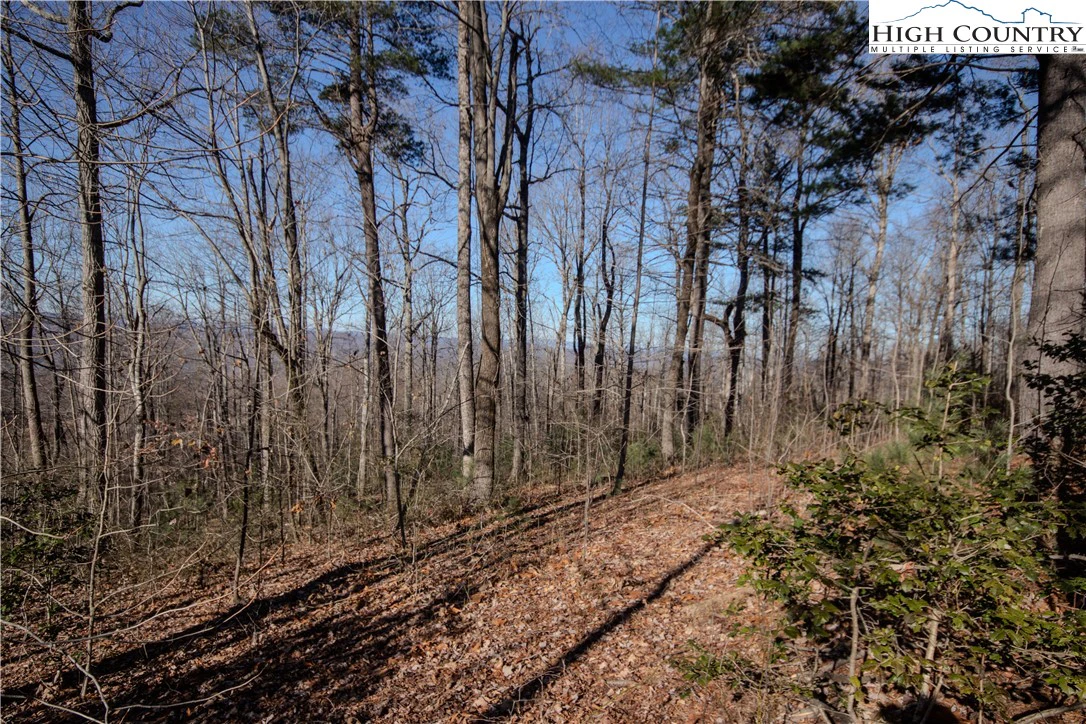 Image number 11 for the current listing