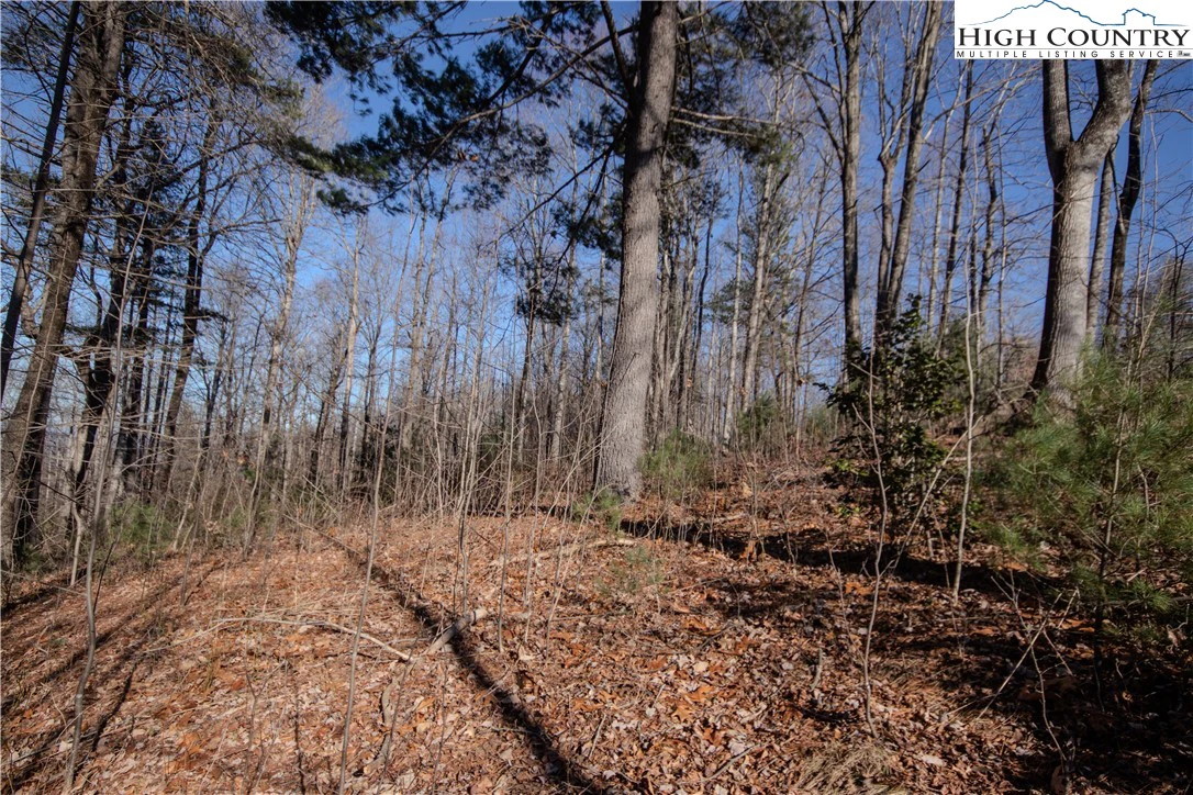 Image number 2 for the current listing