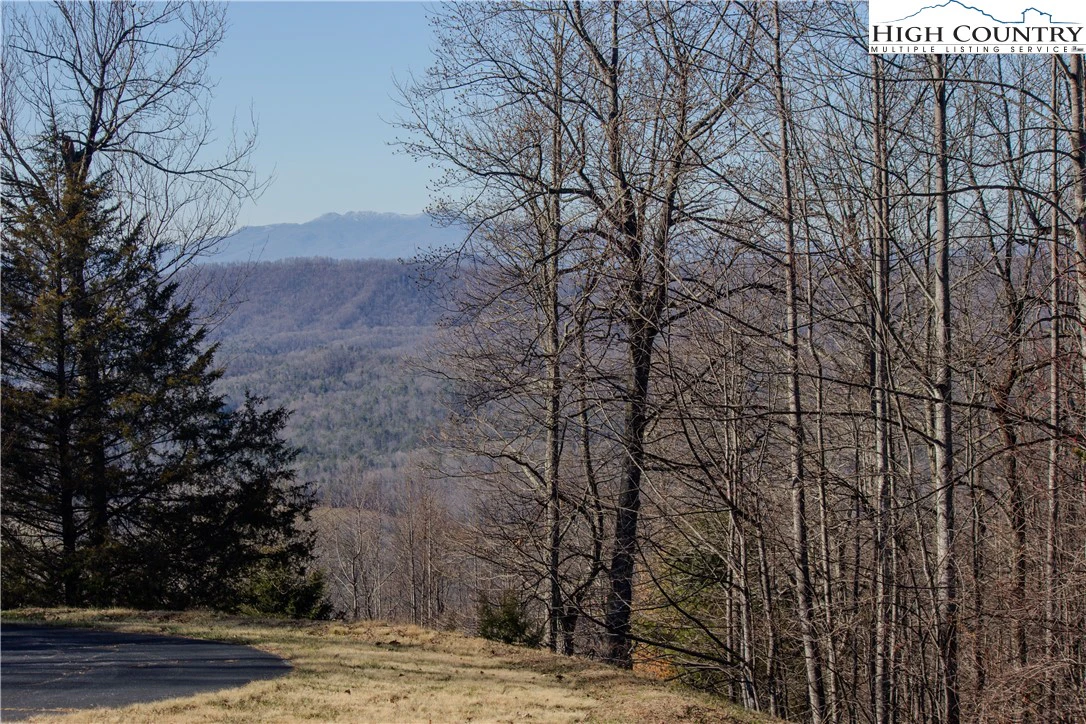 Image number 9 for the current listing