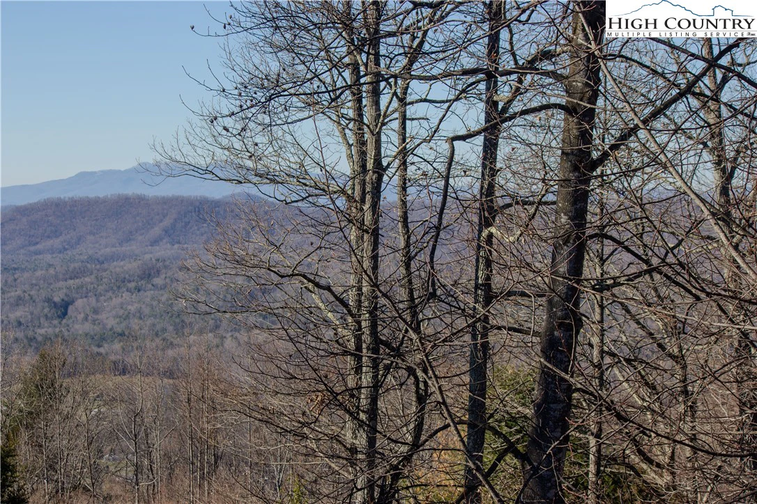 Image number 8 for the current listing