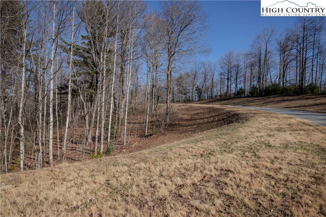 Image number 7 for the current listing