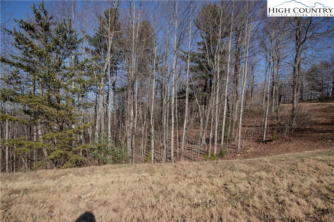 Image number 6 for the current listing