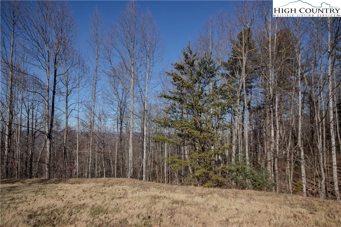 Image number 5 for the current listing