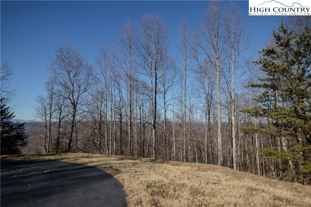 Image number 4 for the current listing