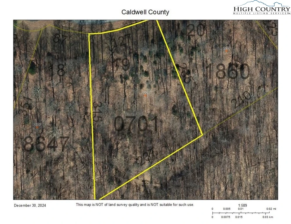 Image number 1 for the current listing