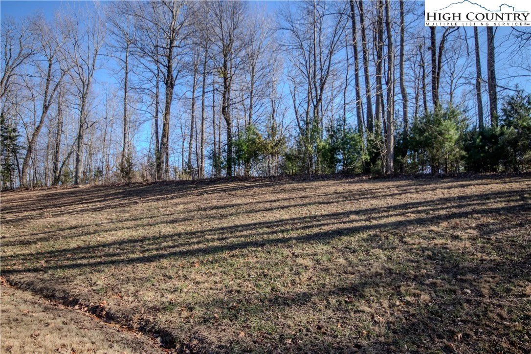 Image number 3 for the current listing