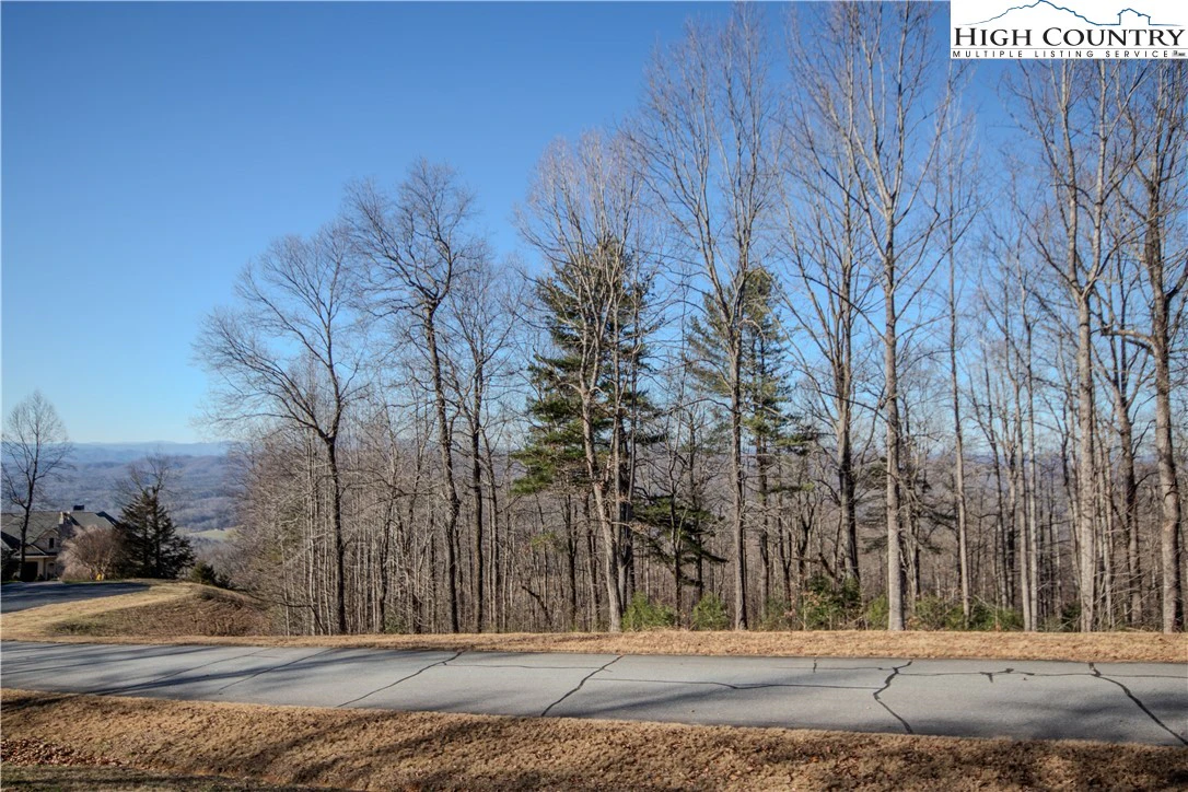 Image number 4 for the current listing