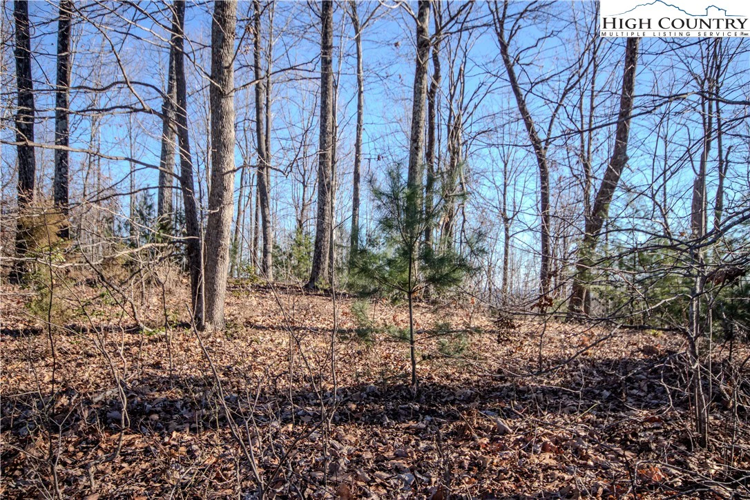 Image number 5 for the current listing