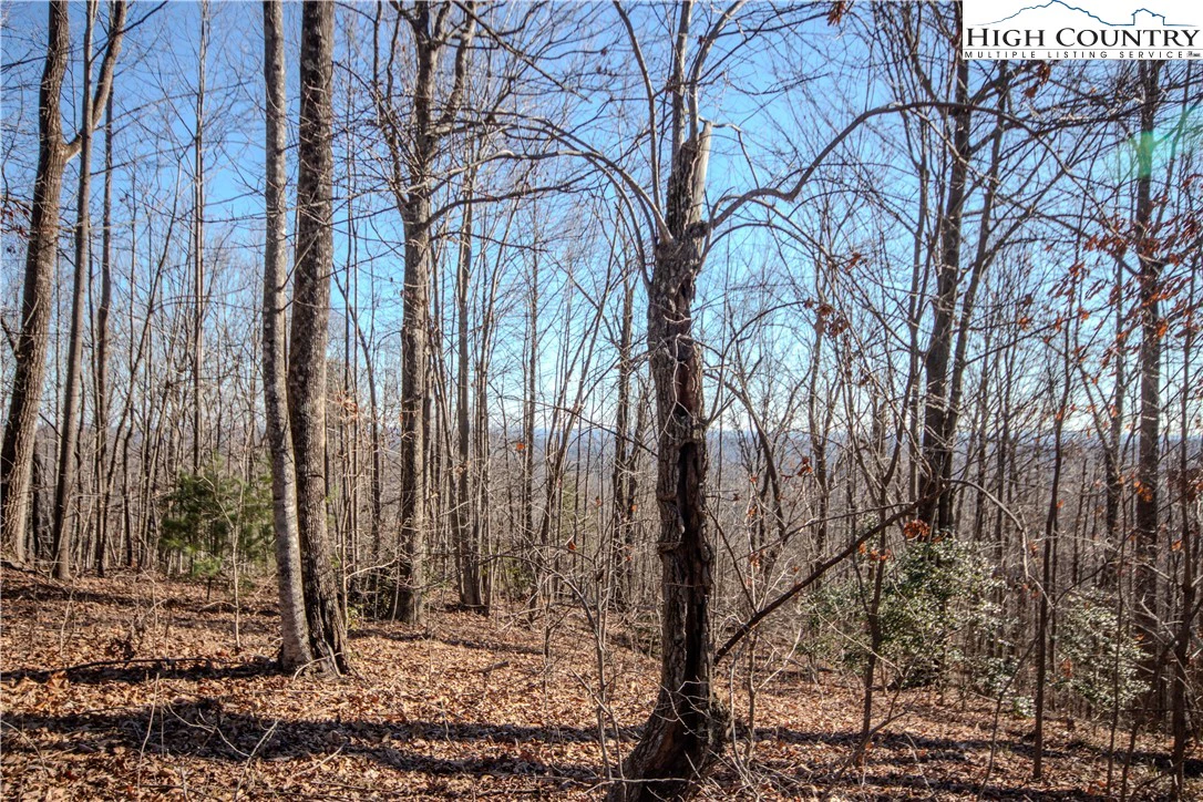 Image number 6 for the current listing