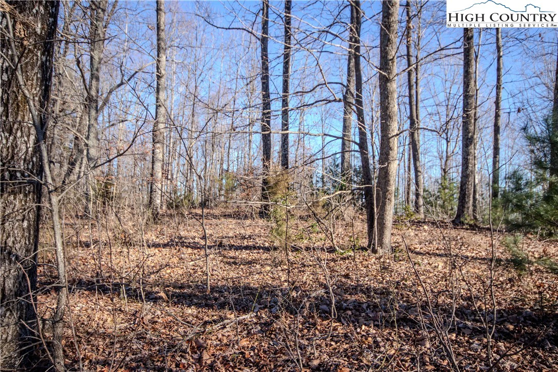 Image number 7 for the current listing